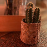 In der Bildmitte steht ein Kaktus in einem Bastkörbchen auf einer Holztischplatte.