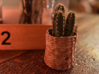 In der Bildmitte steht ein Kaktus in einem Bastkörbchen auf einer Holztischplatte.