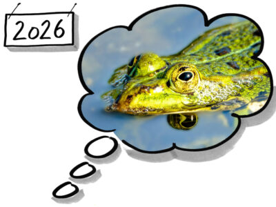 Weißer Hintergrund. Links oben eine Box: 2026. Rechts daneben eine gezeichnete Gedankenwolke. Darin ein Ausschnitt die Nahaufnahme eines schwimmenden Frosches.