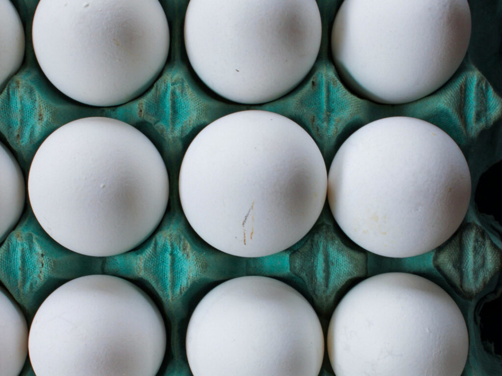 Blick von oben auf weiße Eier in einer grünen Eierpalette.